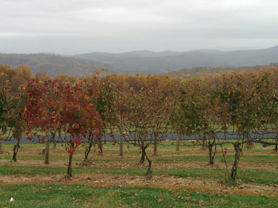 Fox Meadow Winery景点图片