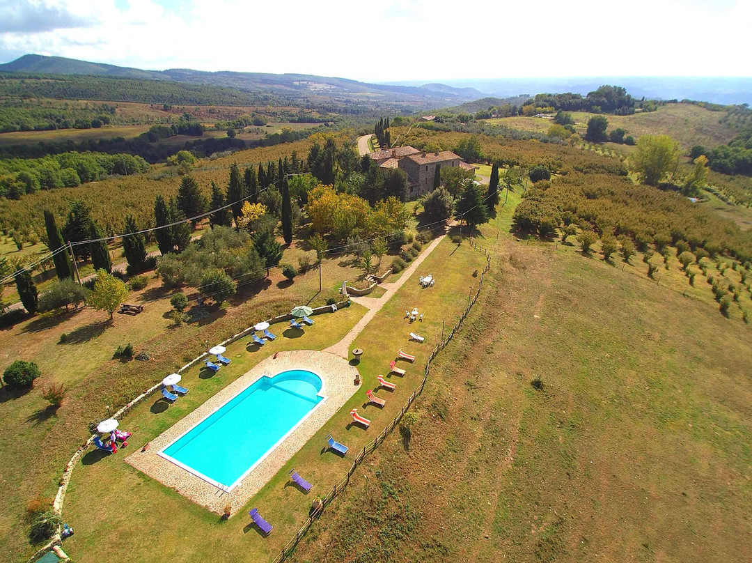 Agriturismo l'Elmo主图