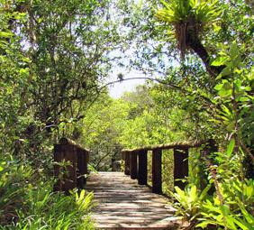 Parque Florestal Rio da Onça-Matinhos必去景点