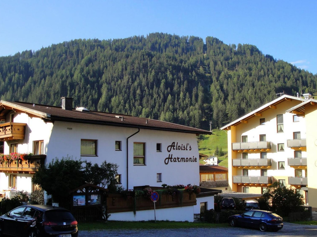 Tschlin酒店住宿-Aloisl`s Harmonie Pension