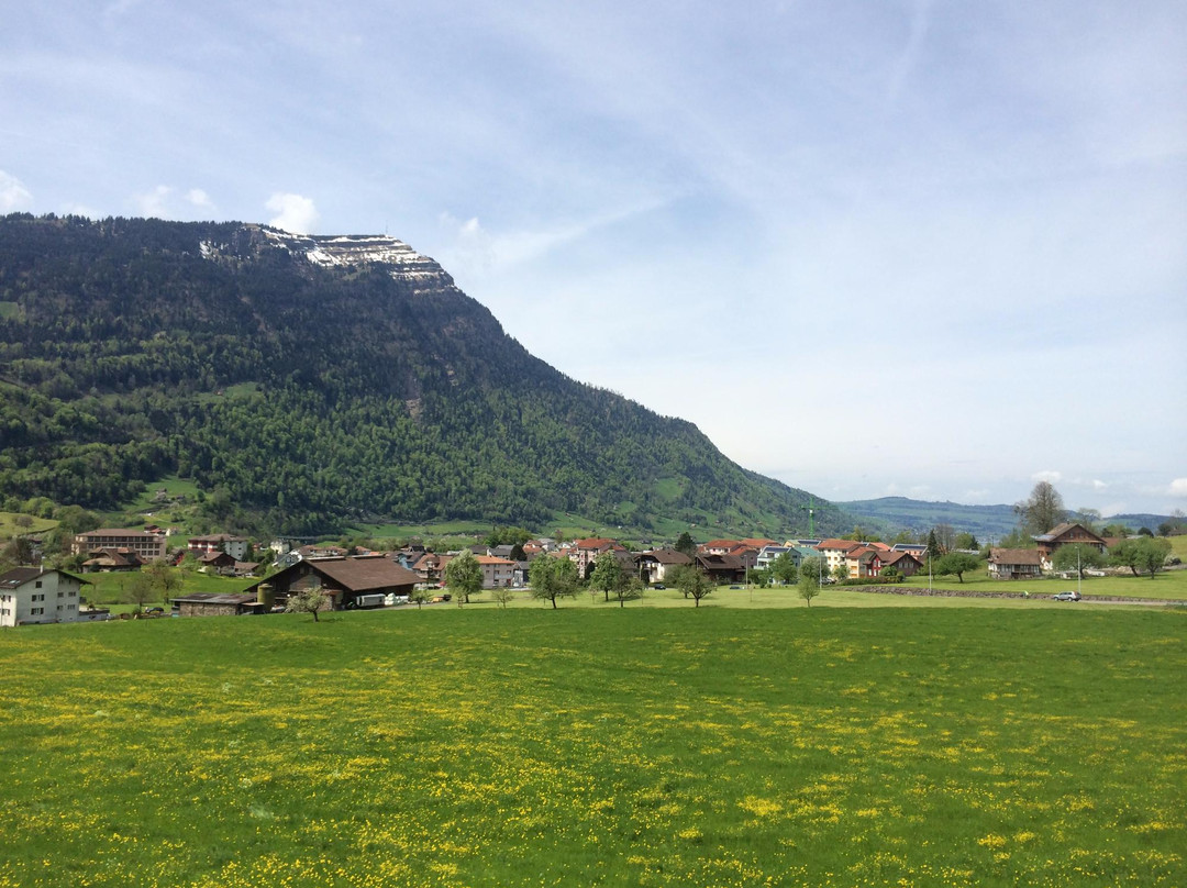 Goldau旅游攻略图片