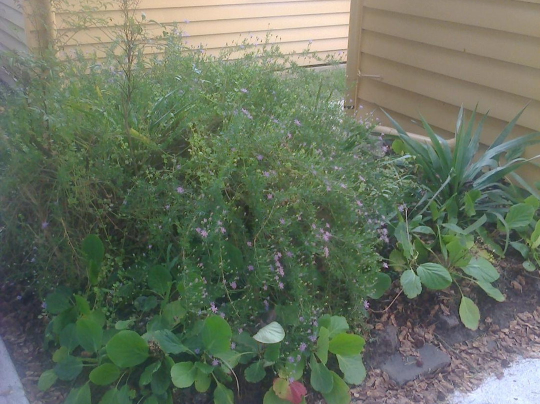 Ballarat Municipal Observatory and Museum-巴拉瑞特必去景点