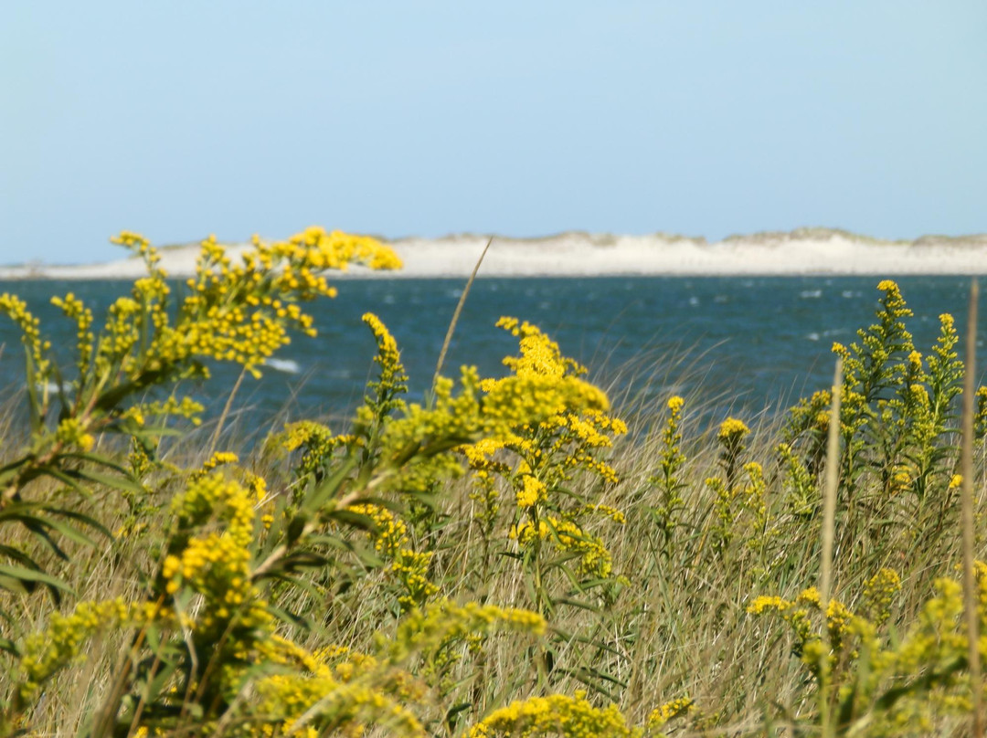 Nelson Memorial Park-普利茅斯必去景点