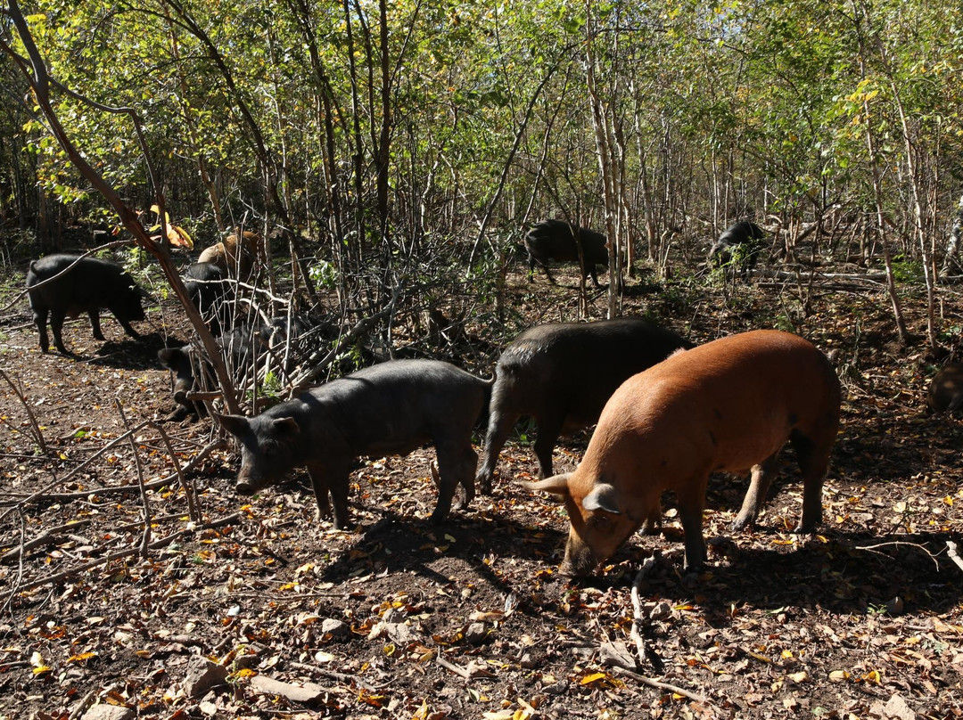 宝宇龙花温泉酒店主图