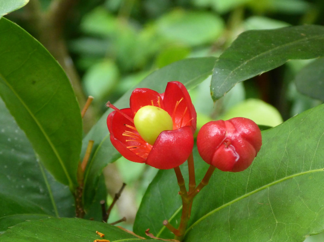 Shalom Valley Park-亚庇必去景点