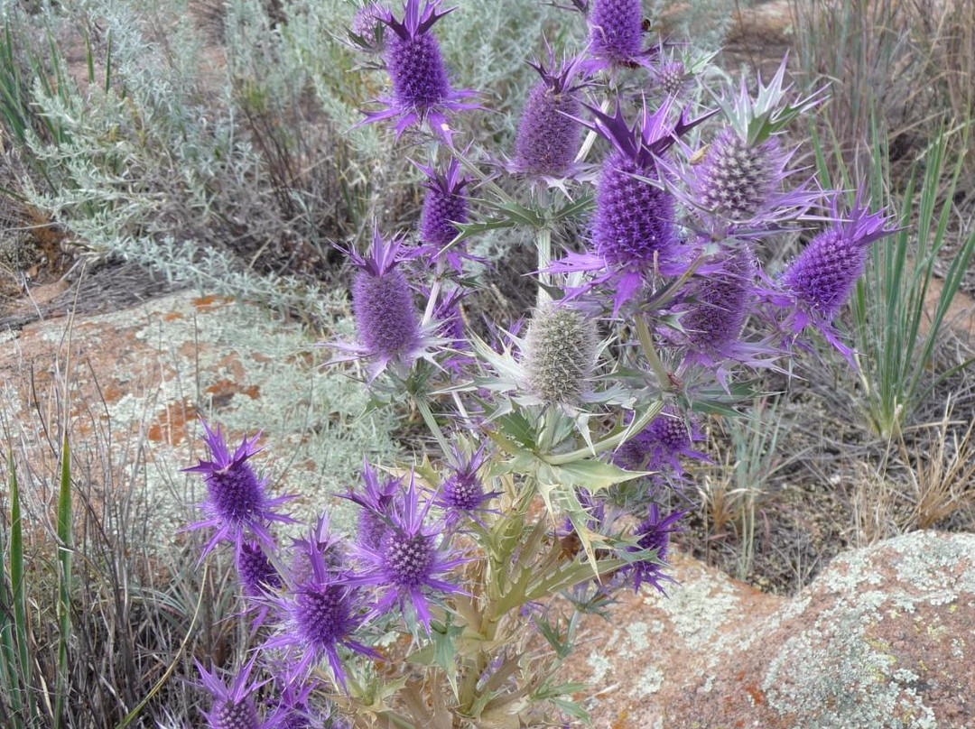 Great Plains State Park-Mountain Park必去景点
