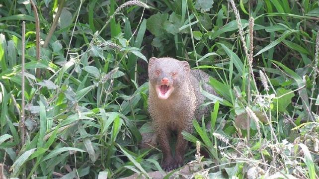 Wild View Home Stay-客卧