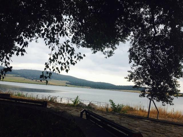 Bazaleti Lake Hotel主图