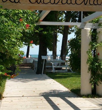 La Cucaracha-康斯坦萨必去景点