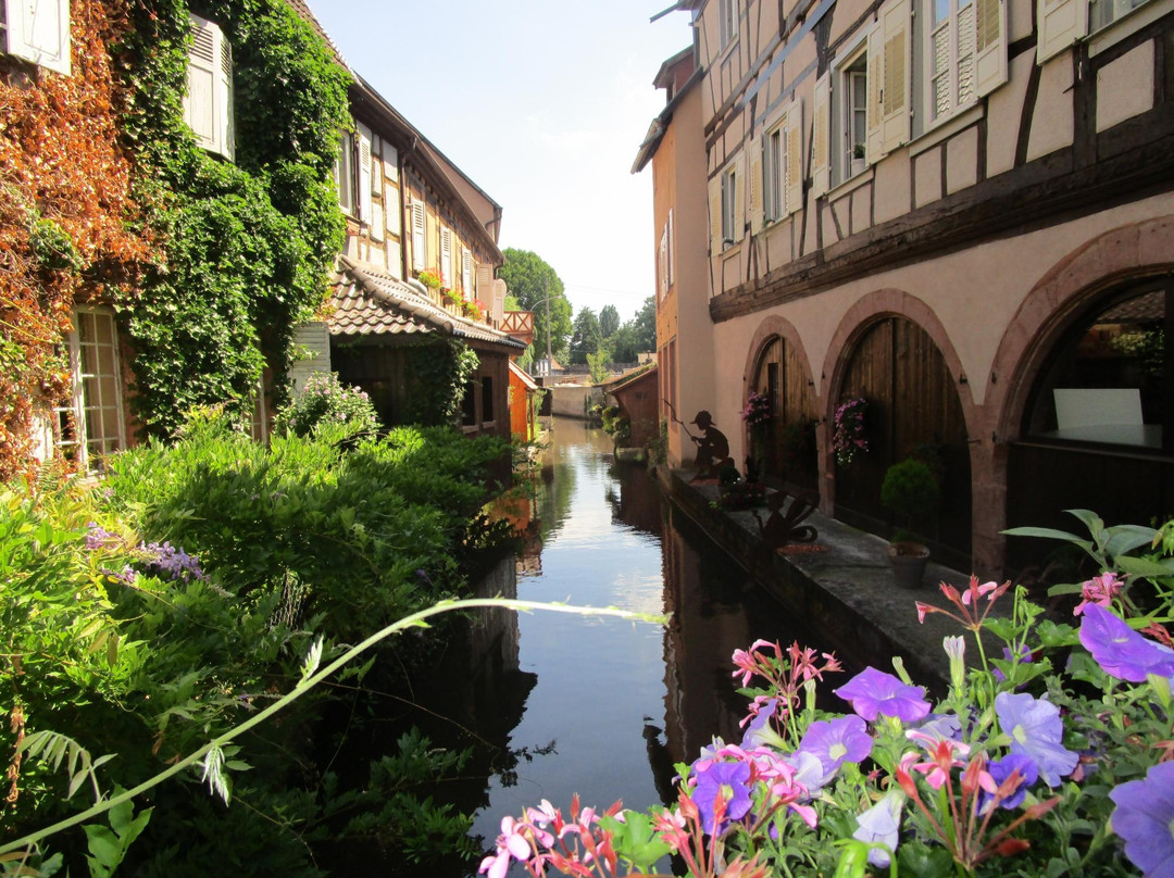 Office de Tourisme de l'Alsace Verte - Bureau d'information de Wissembourg景点图片