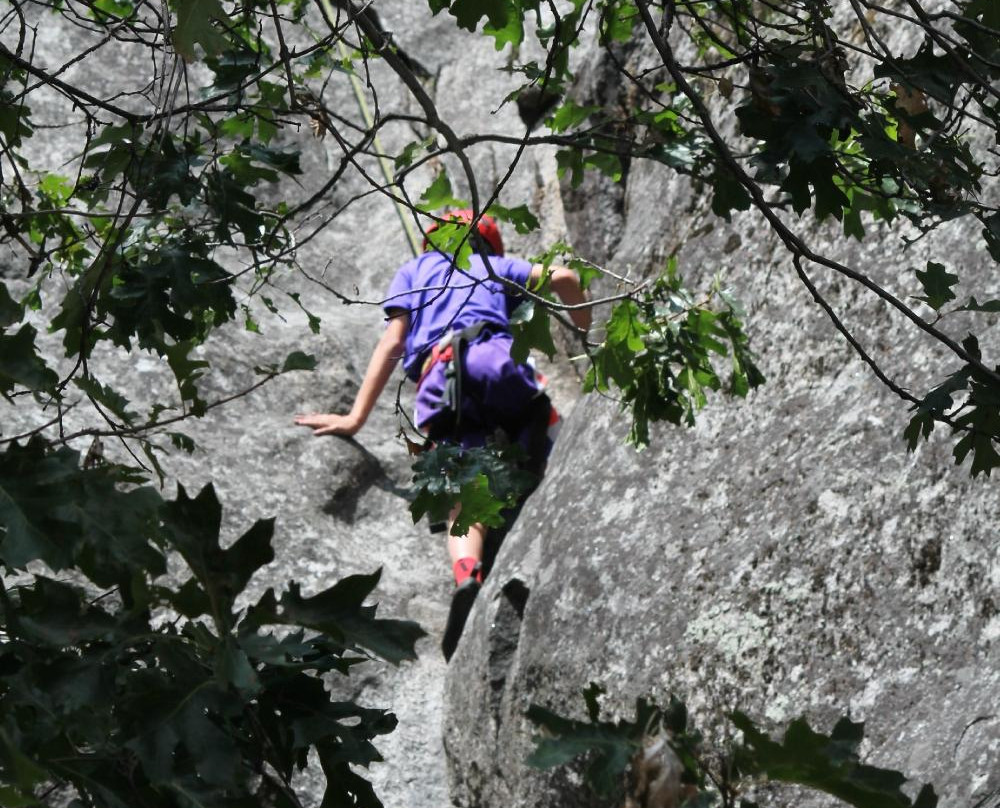 Yosemite Mountaineering School景点图片