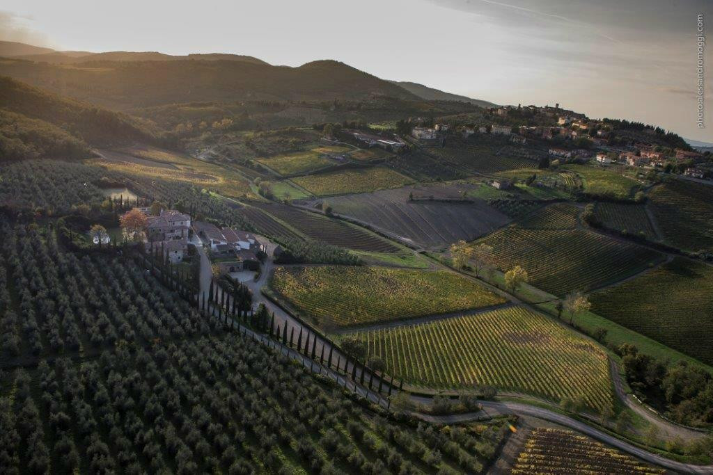 Azienda Agricola Colle Bereto景点图片