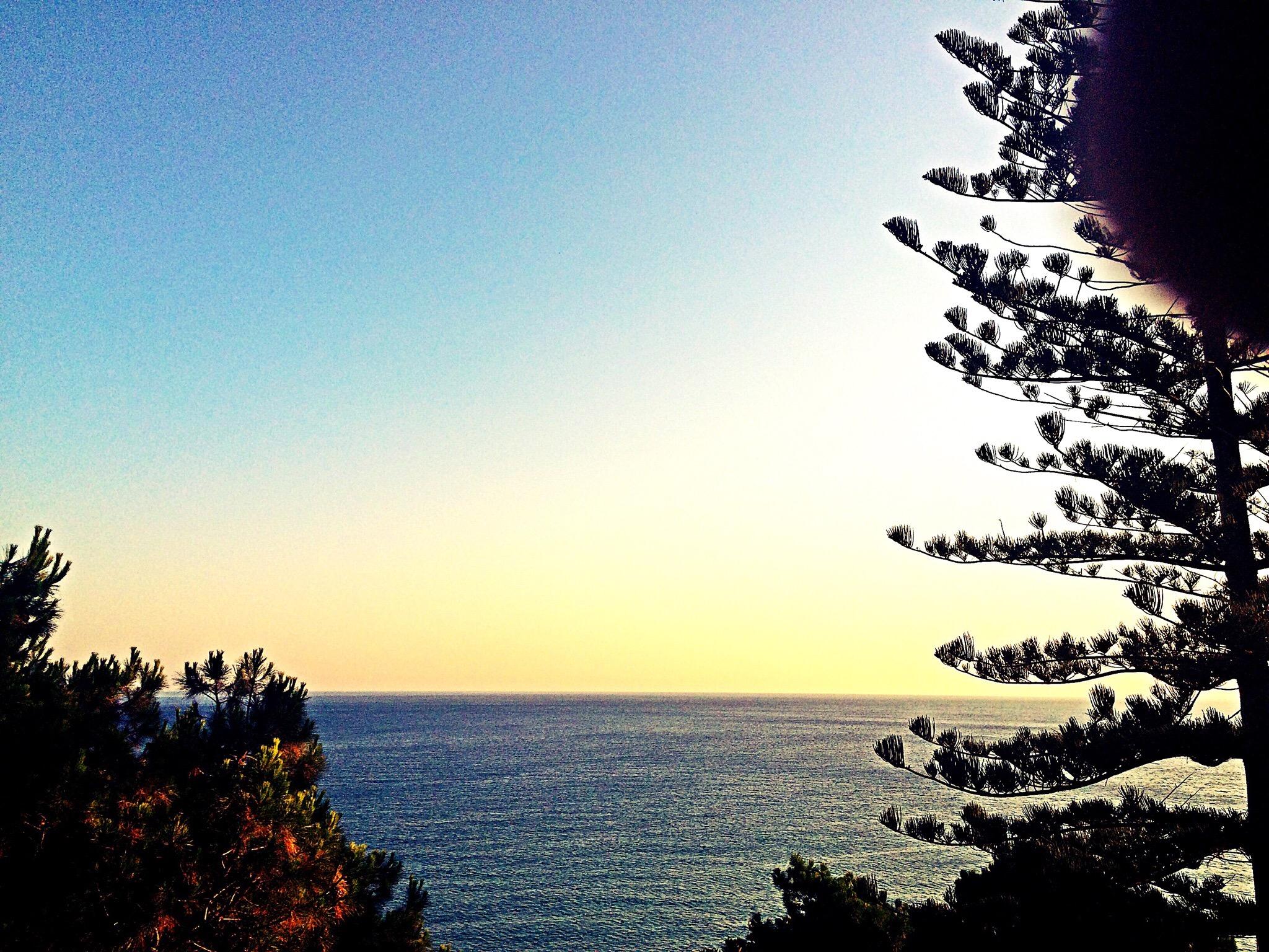 Pineta sul Mare B&B-泳池