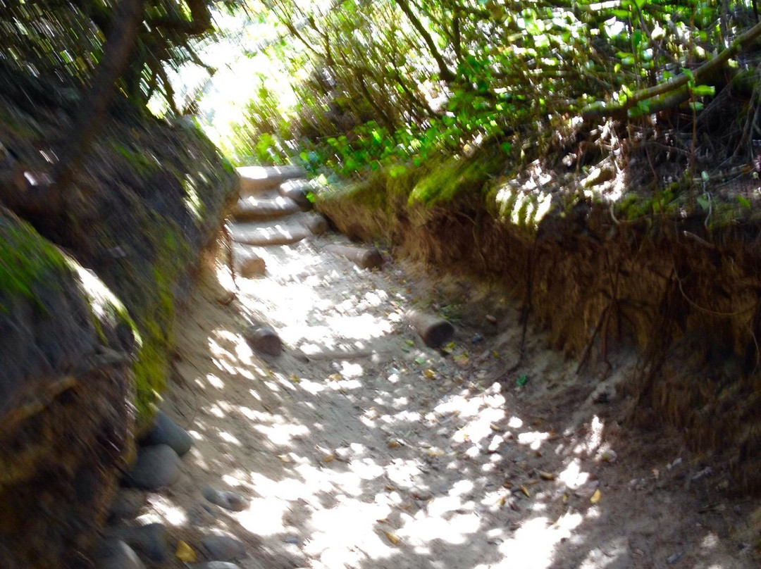 Hobbit Trail-弗洛伦斯必去景点