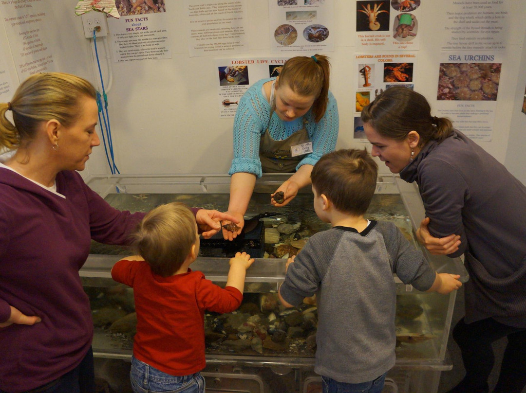 Coastal Children's Museum-罗克兰必去景点