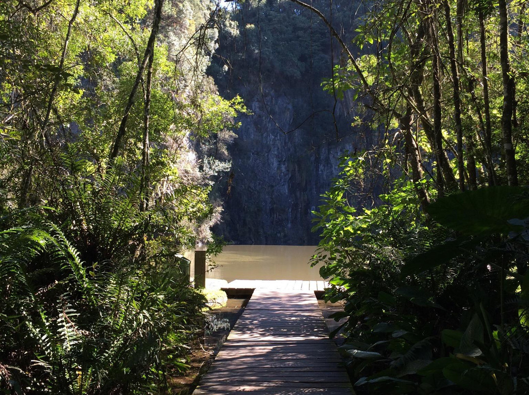 UNILIVRE Universidade Livre do Meio Ambiente-库里提巴必去景点