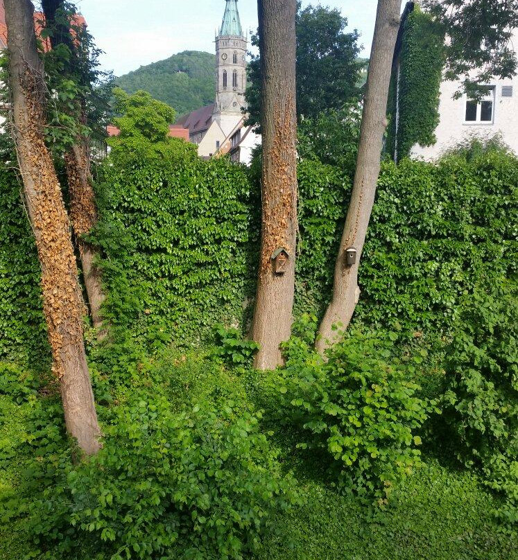 Sankt Johann旅游攻略图片