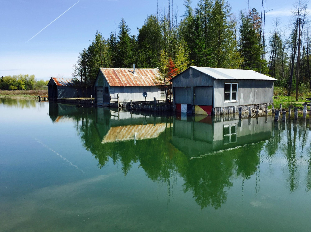 Riverboat Tours-Alanson必去景点