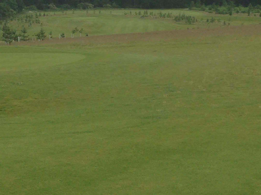 Luton Hoo Golf Course-卢顿必去景点