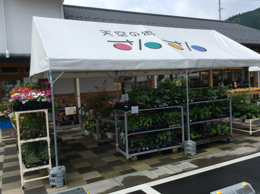 Tenkunosato Sansan Roadside Station-久万高原町必去景点