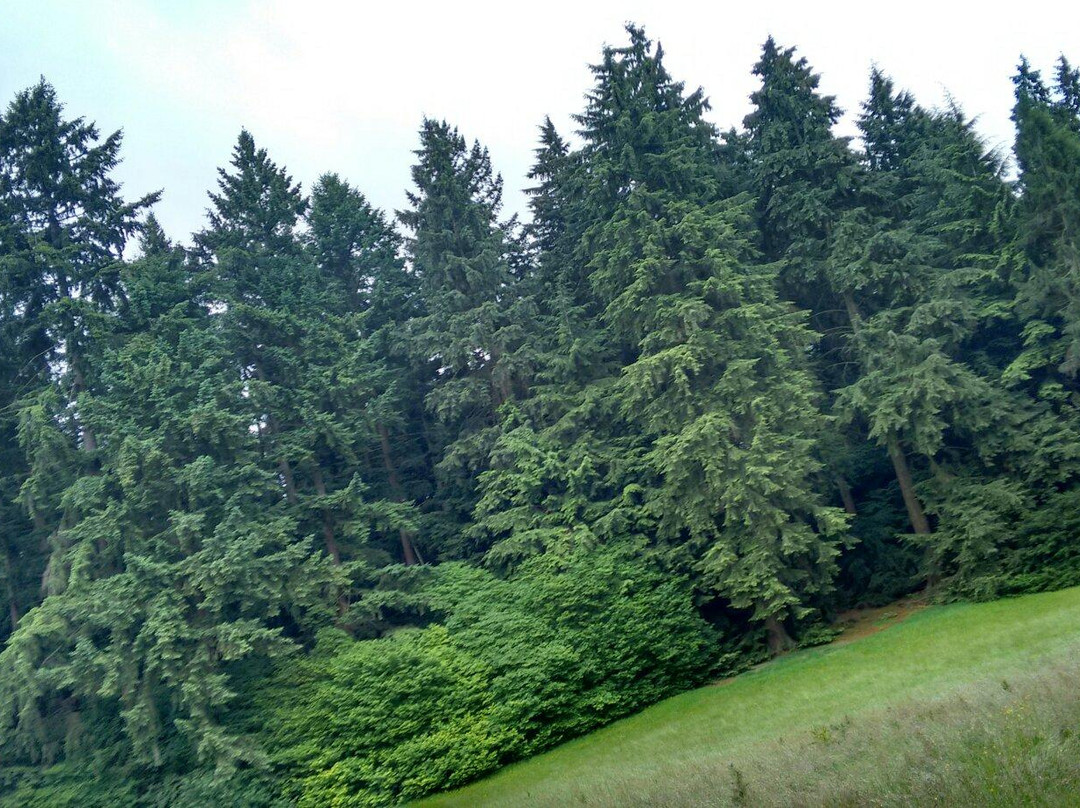 Arboretum Tervuren-Tervuren必去景点