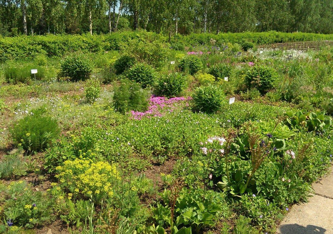 Ufa Botanical Garden景点图片