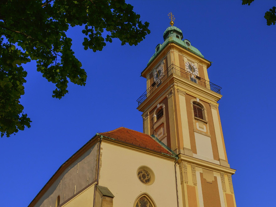 Maribor Cathedral Bell Tower景点图片