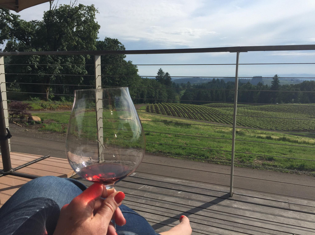 Alexana Winery景点图片