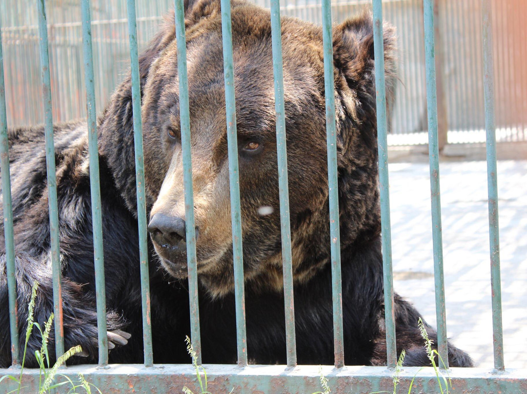 太原动物园-太原市必去景点