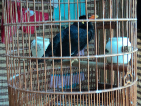 营口皇家园林酒店主图