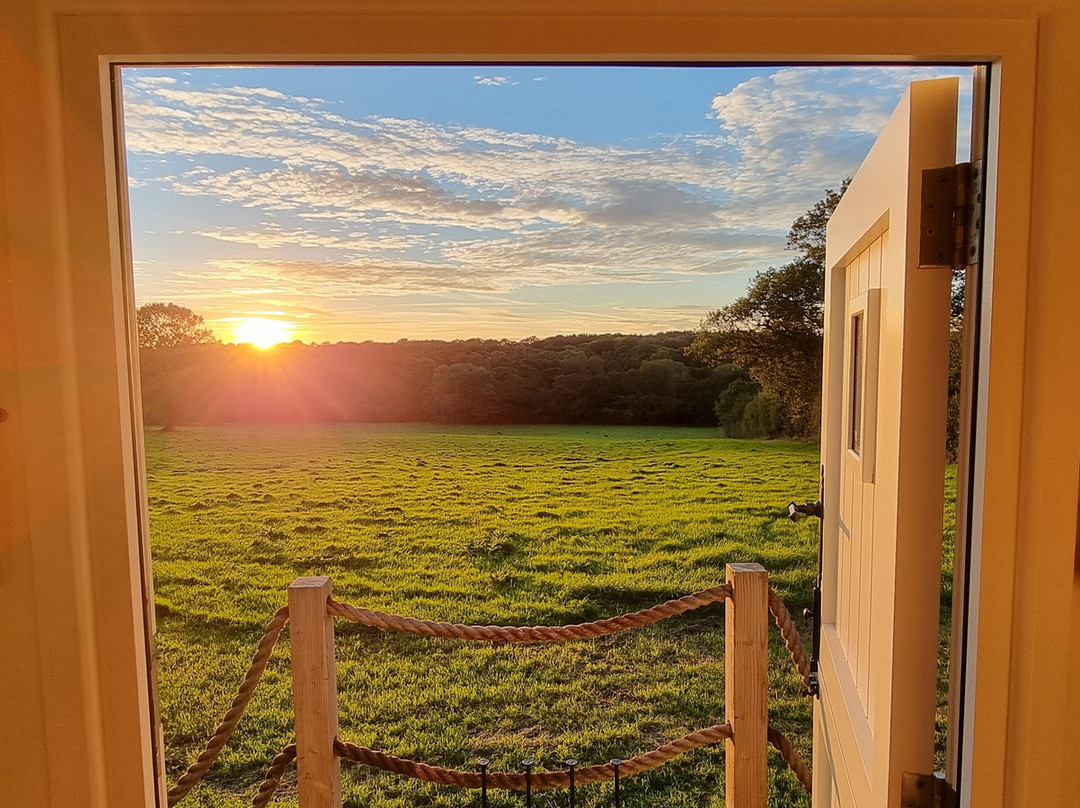 Chase Farm Glamping