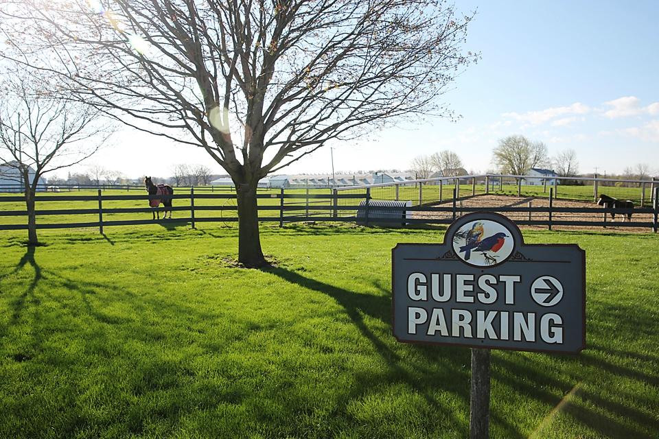 Songbird Ridge Bed & Breakfast主图