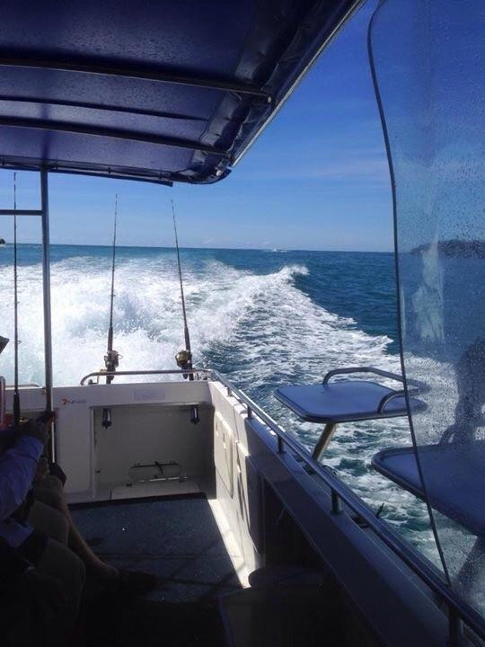 Reel Fishn-堤维德岬必去景点