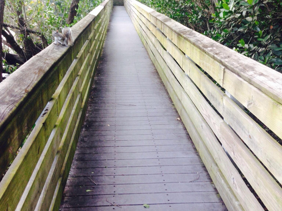 Richardson Historic Park and Nature Preserve-Wilton Manors必去景点