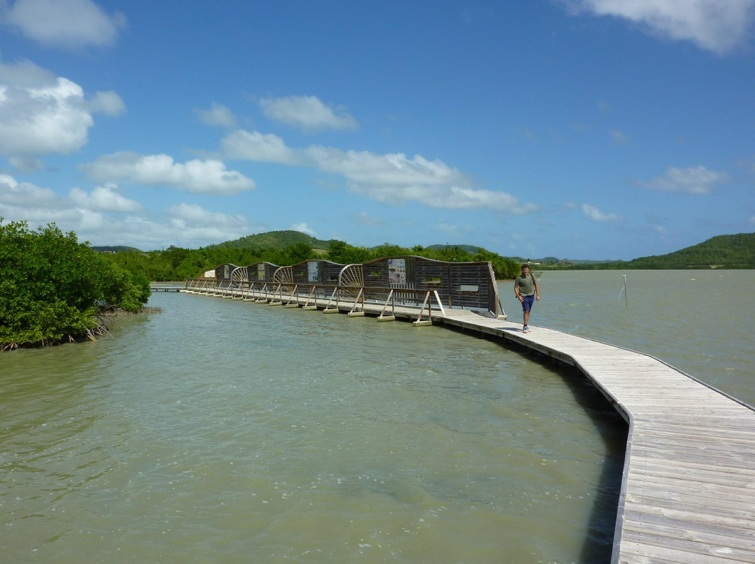 Etang des Salines-Sainte-Anne必去景点