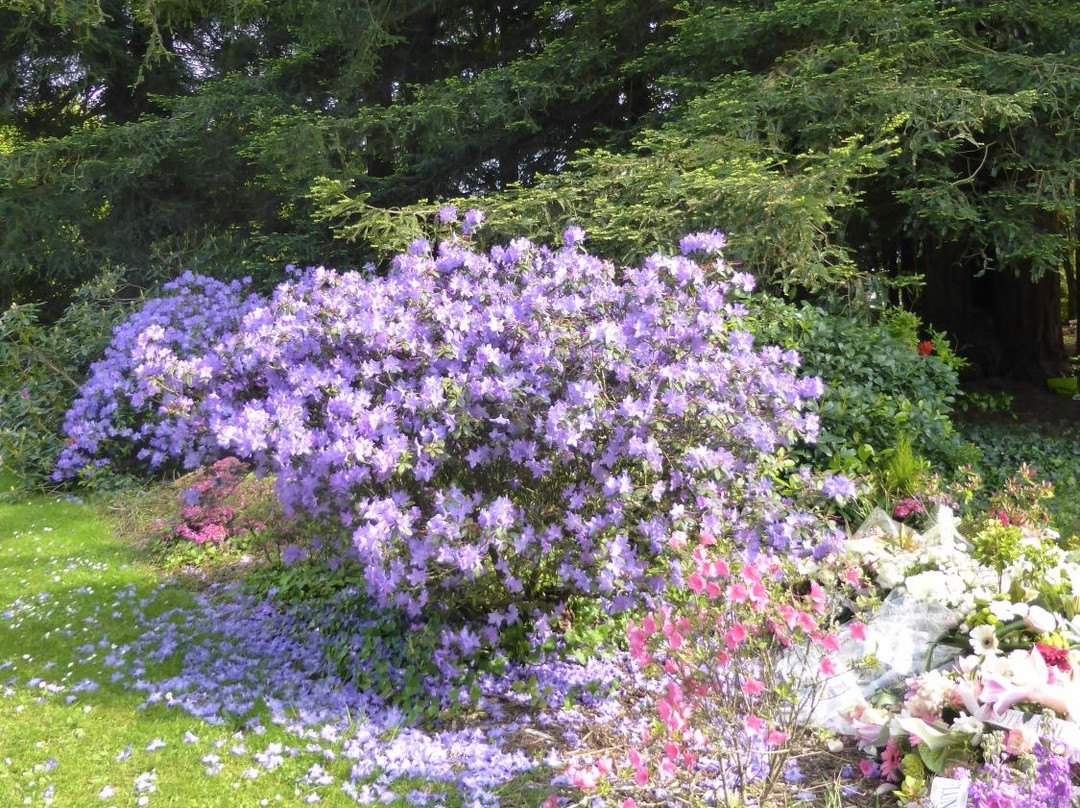 Arboretum Cimetière Parc景点图片