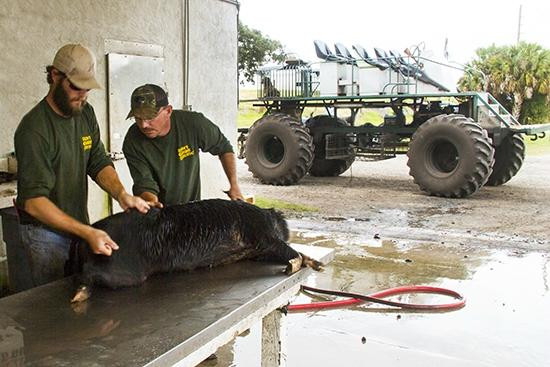 Ron's Guide Service-奥基乔比必去景点