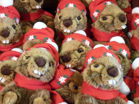 Charisma Am Stadtplatz-采尔湖畔必去景点