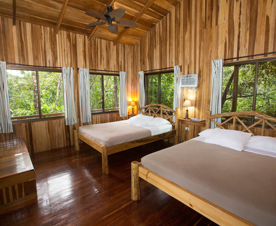 福德圣卡洛斯酒店住宿-Tree Houses Hotel Costa Rica