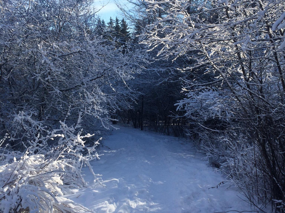 Amherst Point Bird Sanctuary-Amherst必去景点