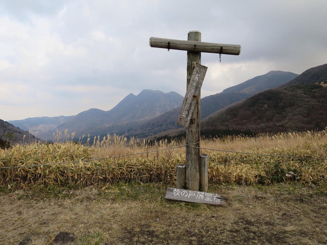 Makinoto Mountain Path景点图片