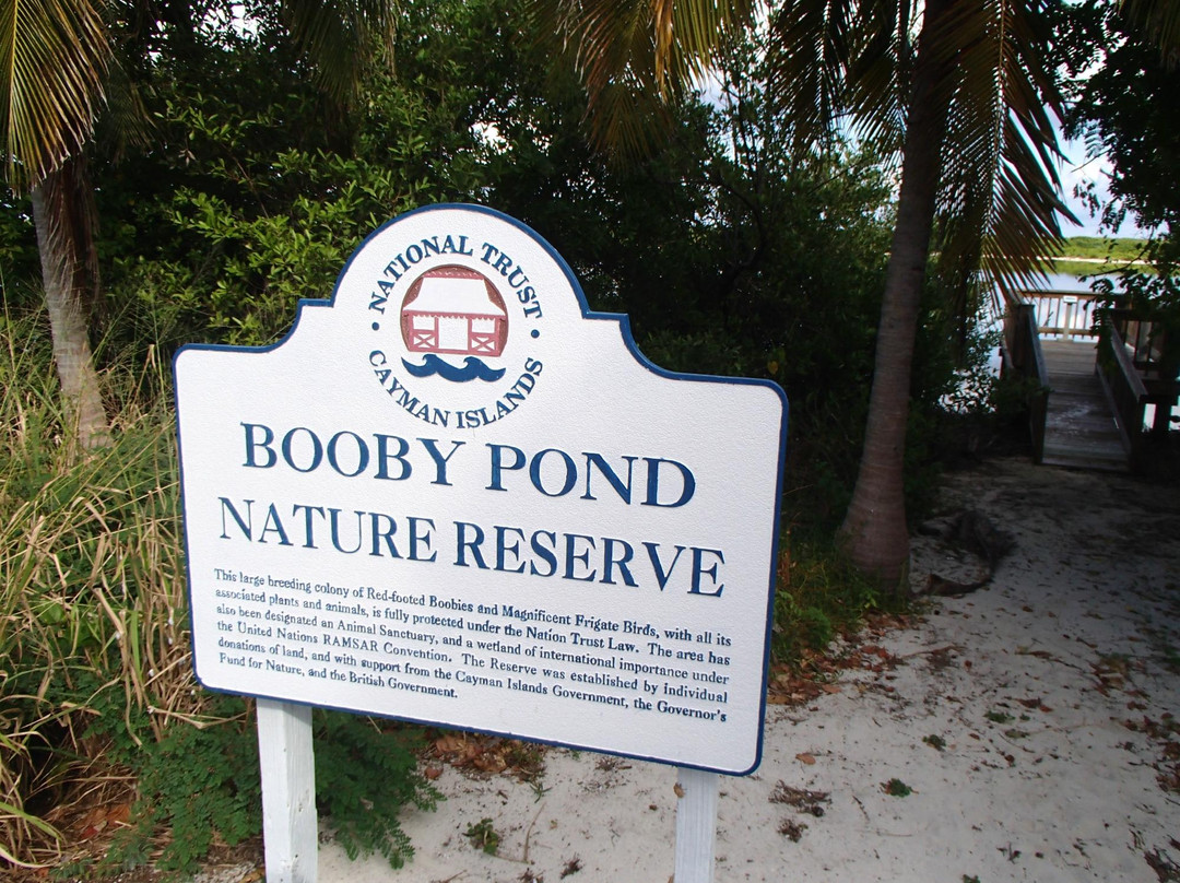 Booby Pond Nature Reserve-Little Cayman必去景点