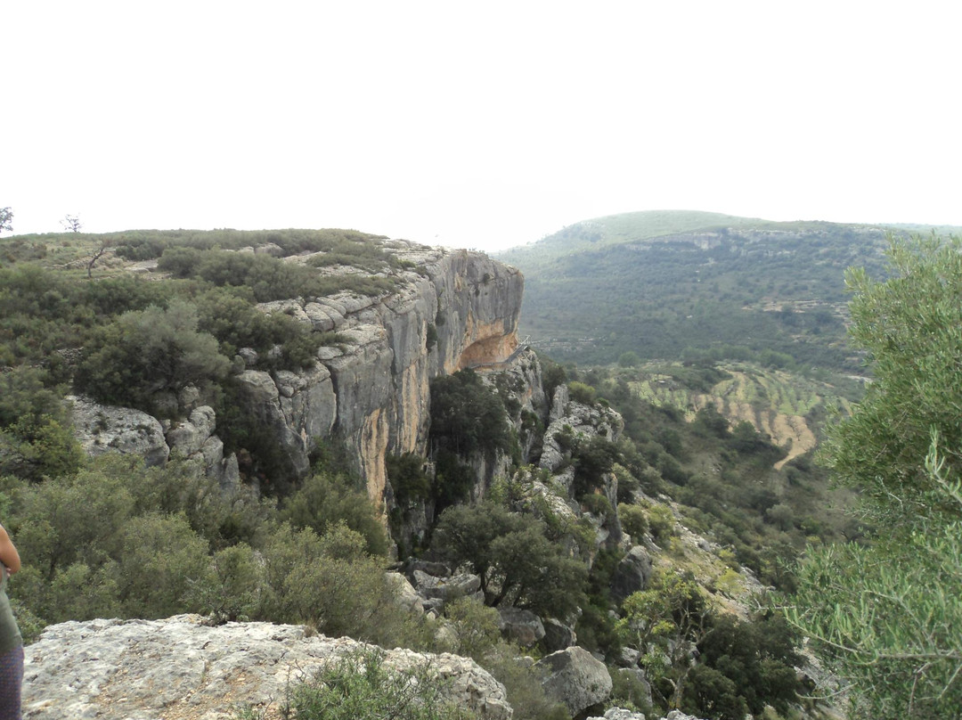 Valltorta Museum景点图片