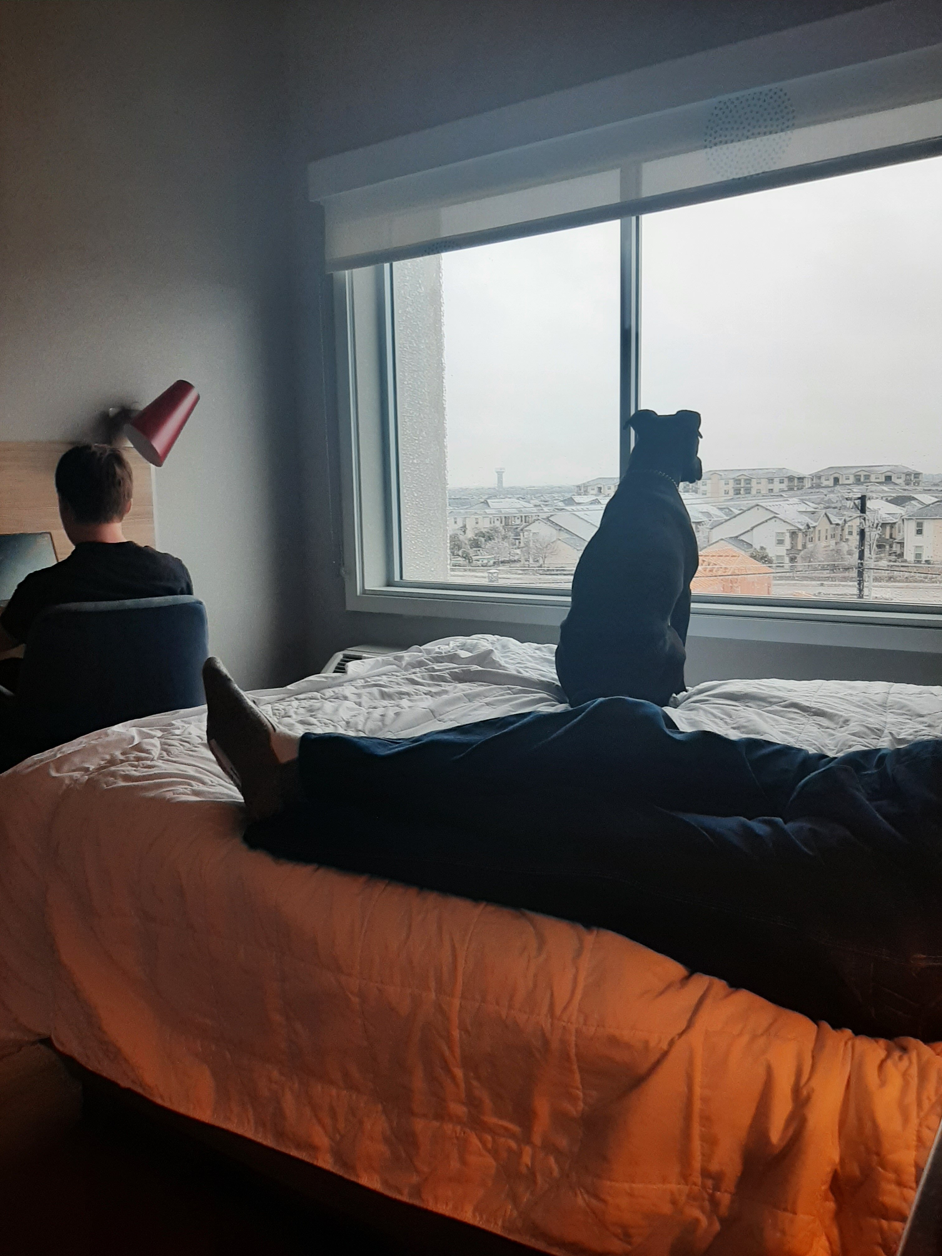 Tru by Hilton Pflugerville-官方