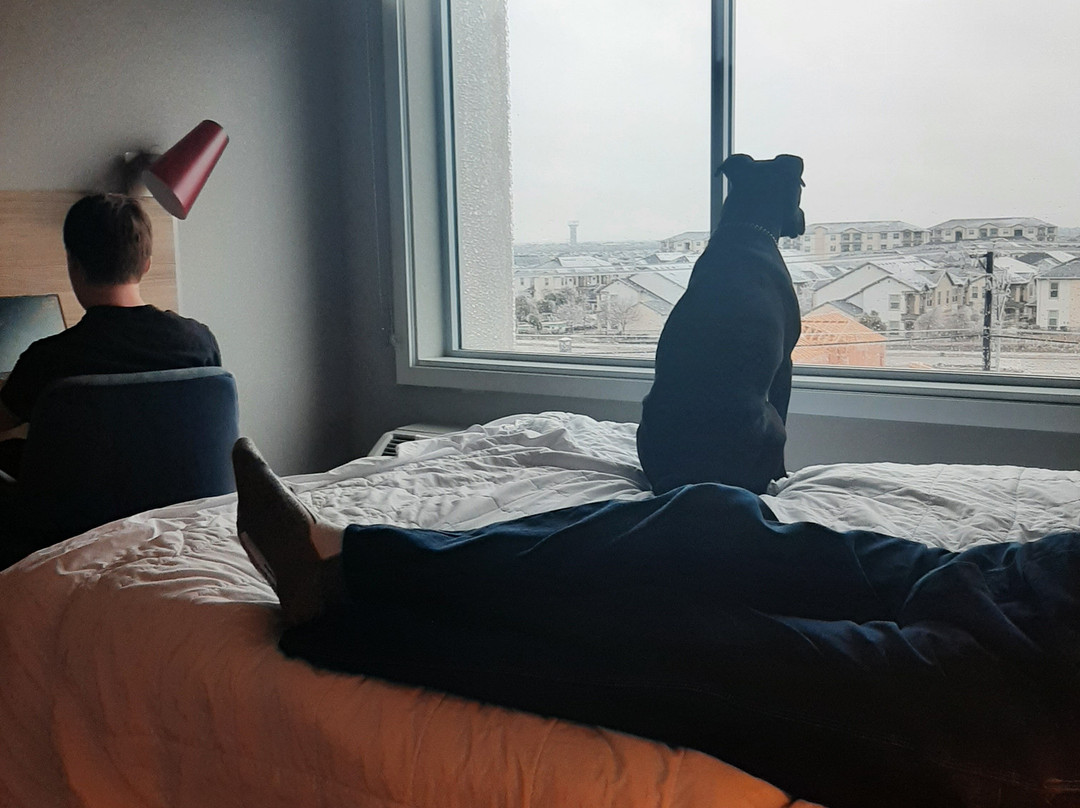 Taylor旅游攻略图片
