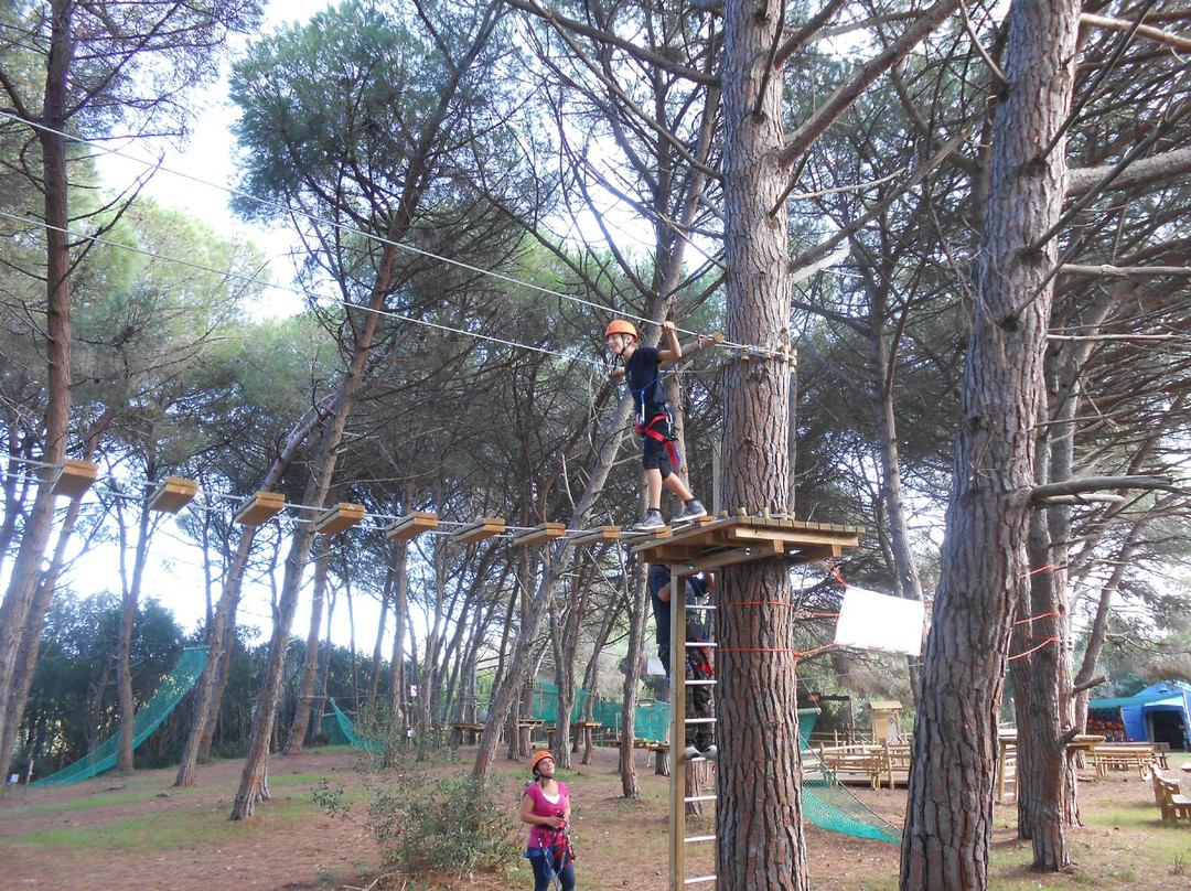 Park Adventure Bosco Isola景点图片
