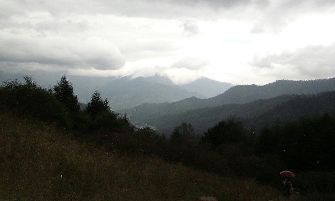 东拉山神木垒-雅安市必去景点