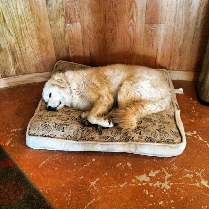 Fredericksburg Limo Wine Tours-弗雷德里克斯堡必去景点