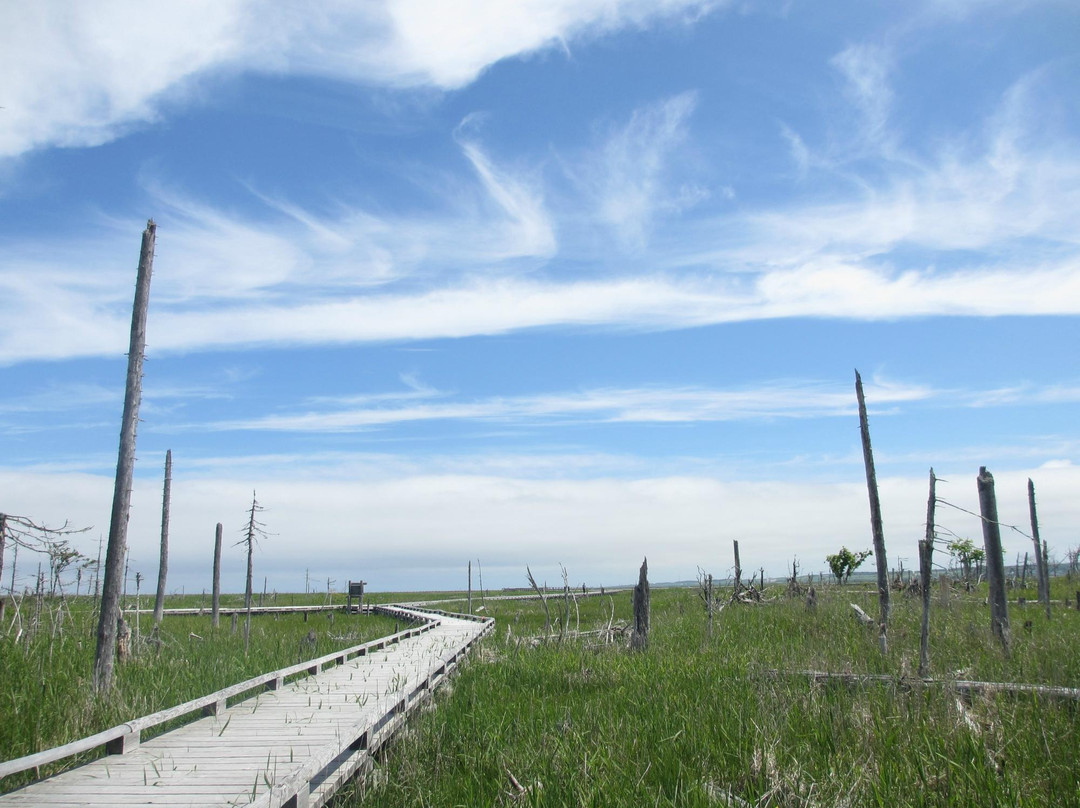 根室市春国岱原生野岛公园-根室市必去景点