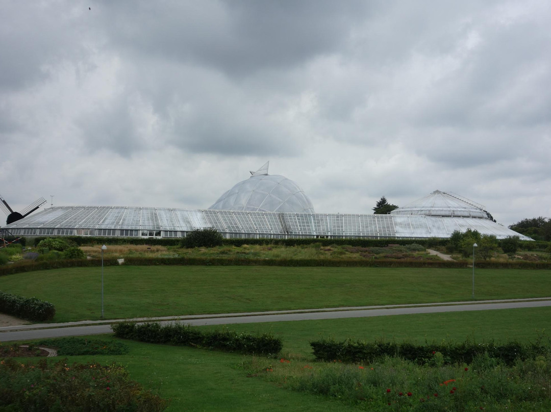 Botanical Garden and the Greenhouses景点图片